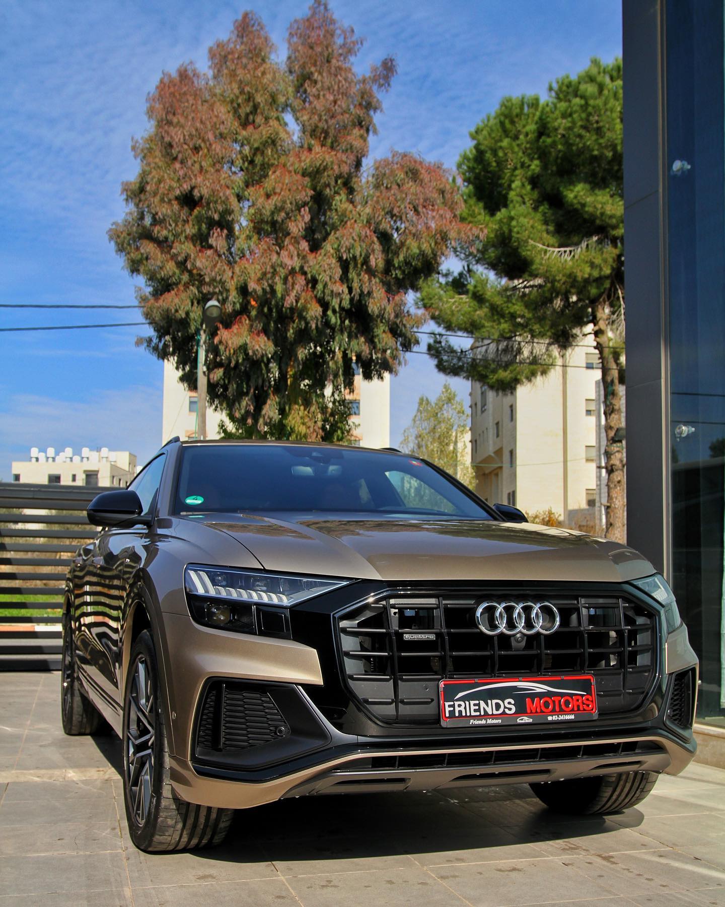 Audi Q8: front · bronze example.